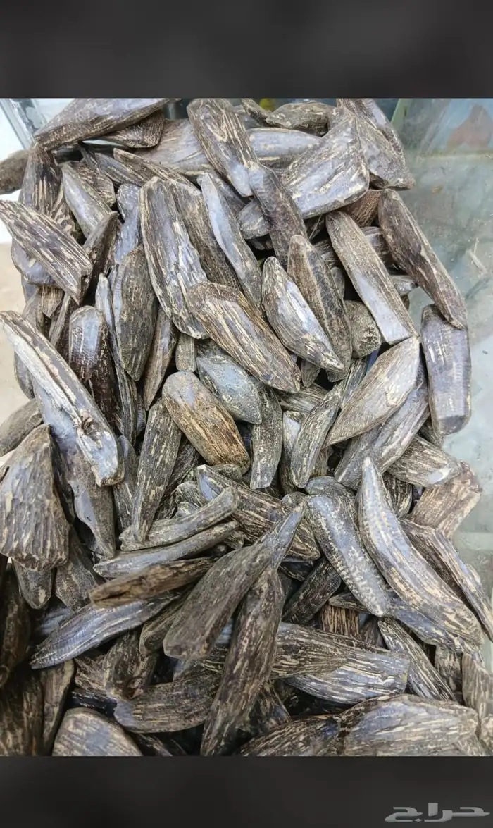 نوفر جميع انواع العطور الحبه بسعر الجمله لاتفوتكم الفرصه 13