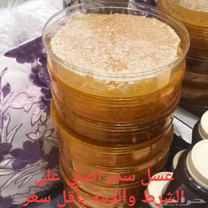 عسل سدر جبلي 7