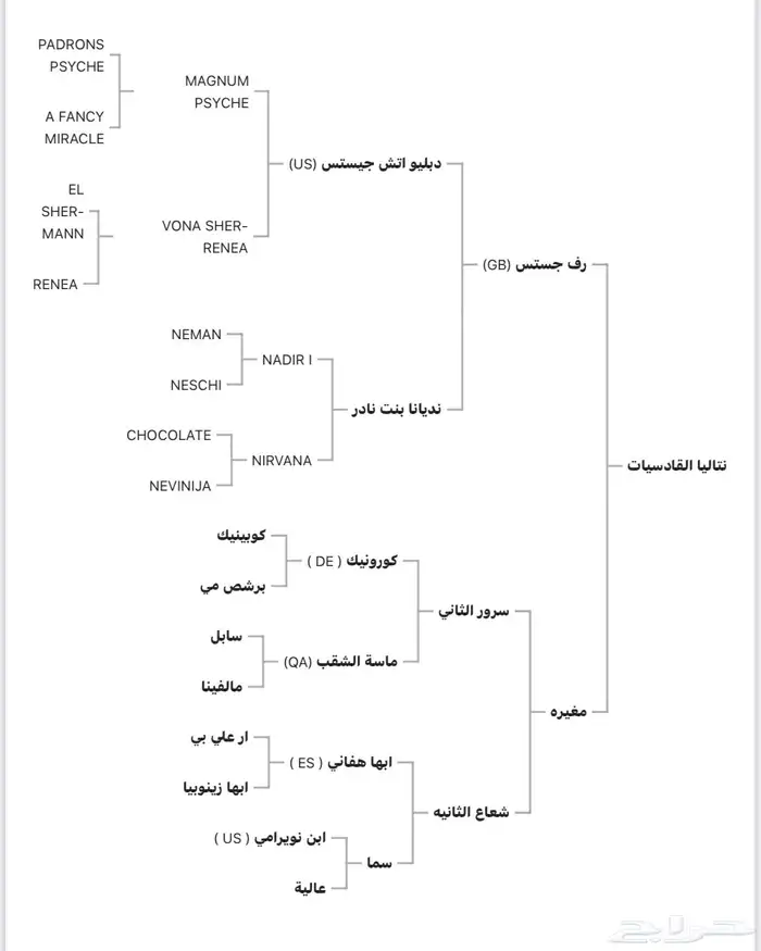 فرس واهو منتجة ودمها قوي 5