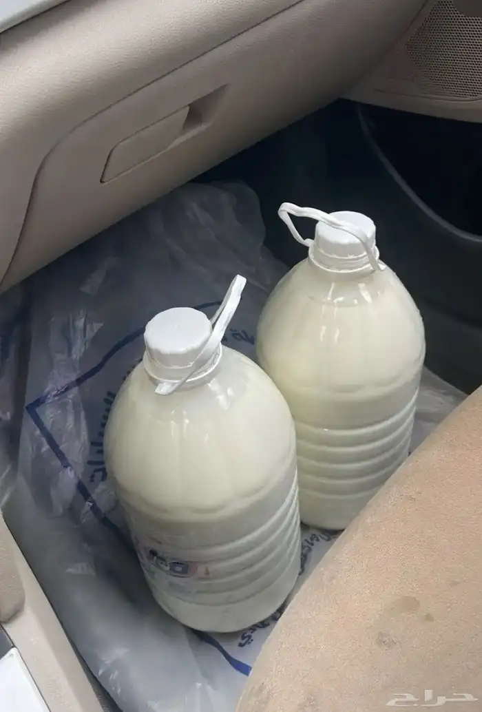 لبن بقر بلدي طازج 0