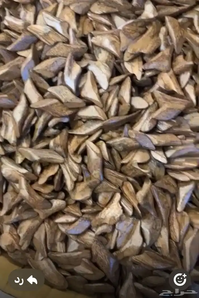 نوفر جميع انواع العطور الحبه بسعر الجمله لاتفوتكم الفرصه 51