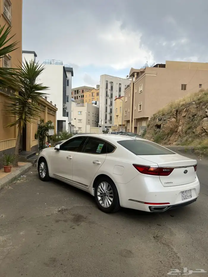 كادينزا 2019 0