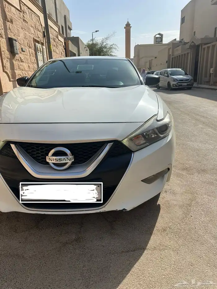 ماكسيما S 2017 1