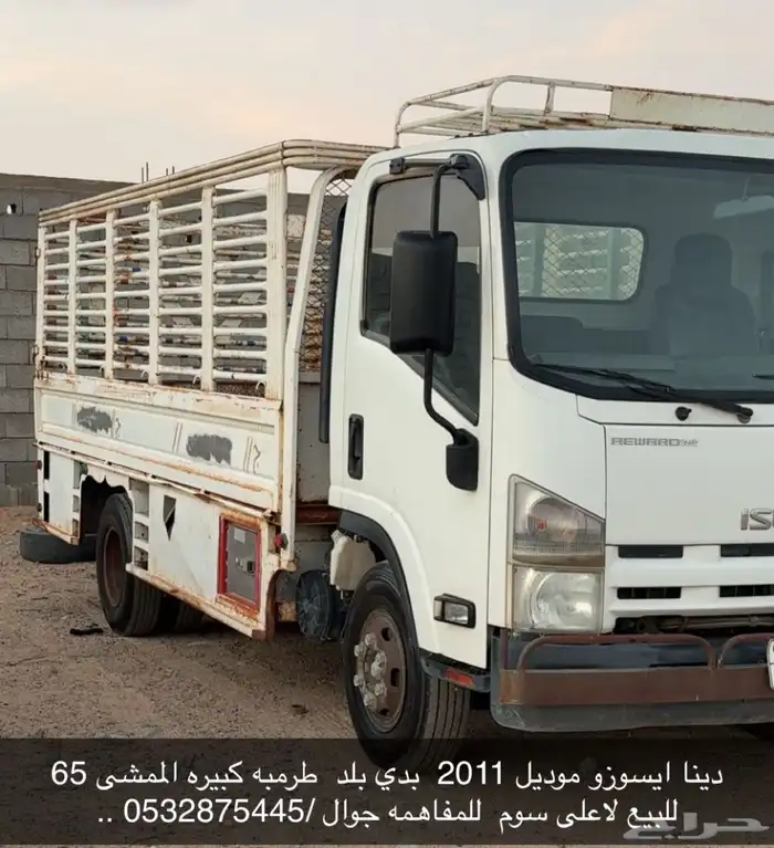 دينا ايسوزو 2011 0