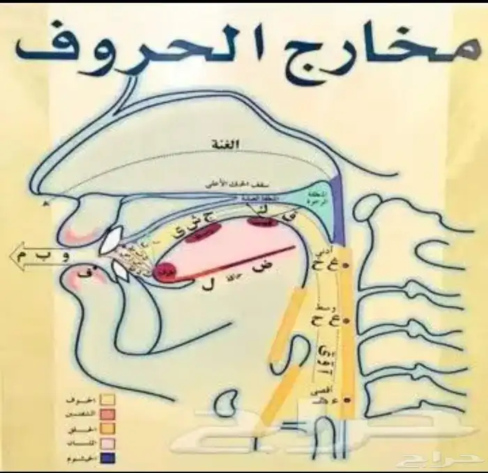 اخصائية تخاطب وخبره فى علاج اللدغات وباحثةماجستير ف التخاطب 0