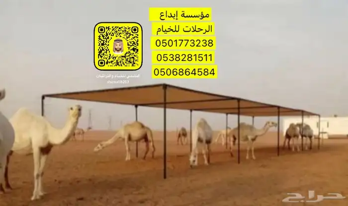 مضلات ابل مضلات أغنام مضلات حلال مضلات سياره 12