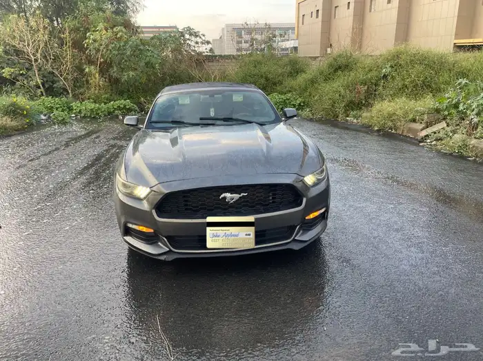 موستنج للبيع او البدل المناسب 0