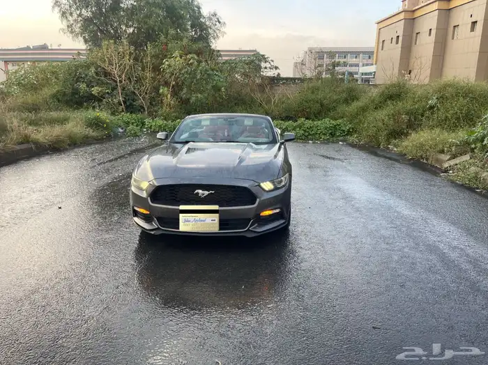 موستنج للبيع او البدل المناسب 2