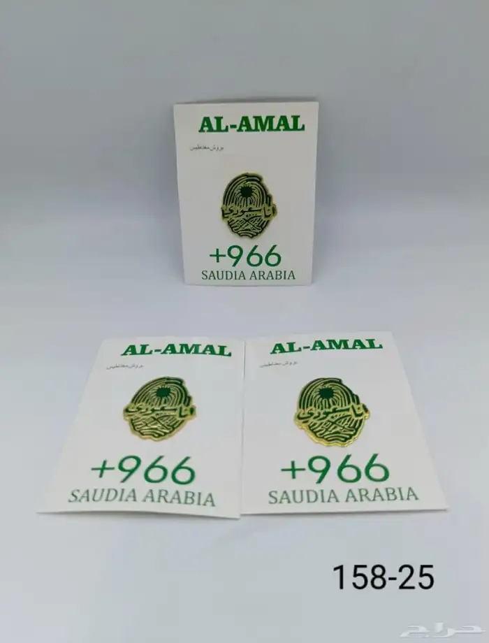 بروش مغناطيس اليوم الوطني 10