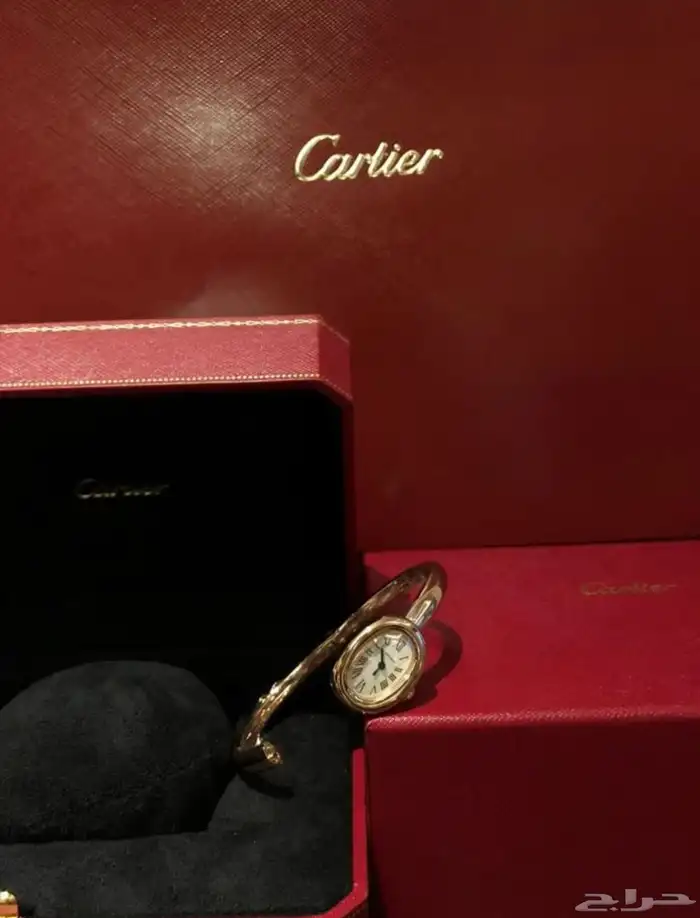 ساعة نسائية كارتير ماستر كوالتي Cartier Baignoire 1