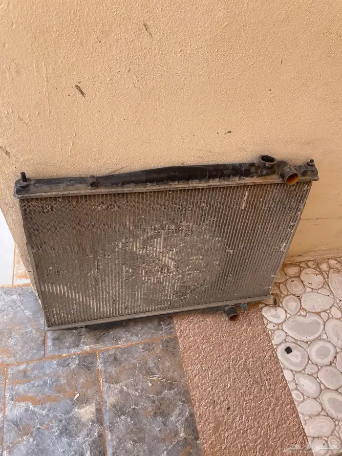 رديتر ددسن 2