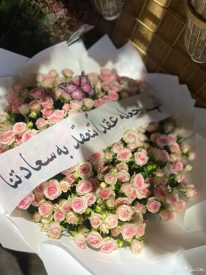 استقبال  كوش  تشريع سياره بأرخص الأسعار 11