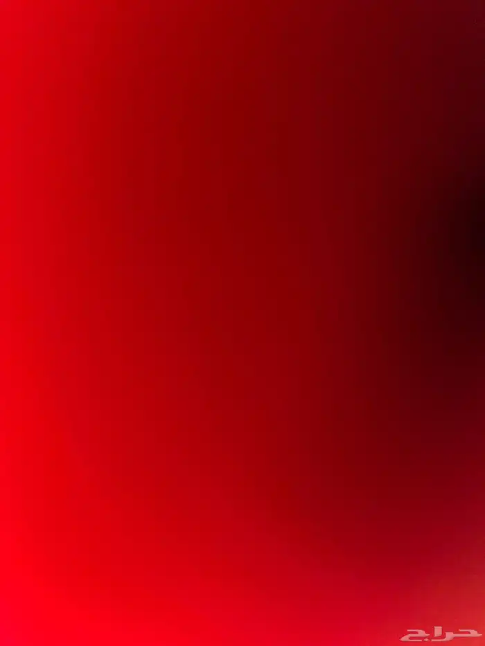 دينا سيزو للاجار 0