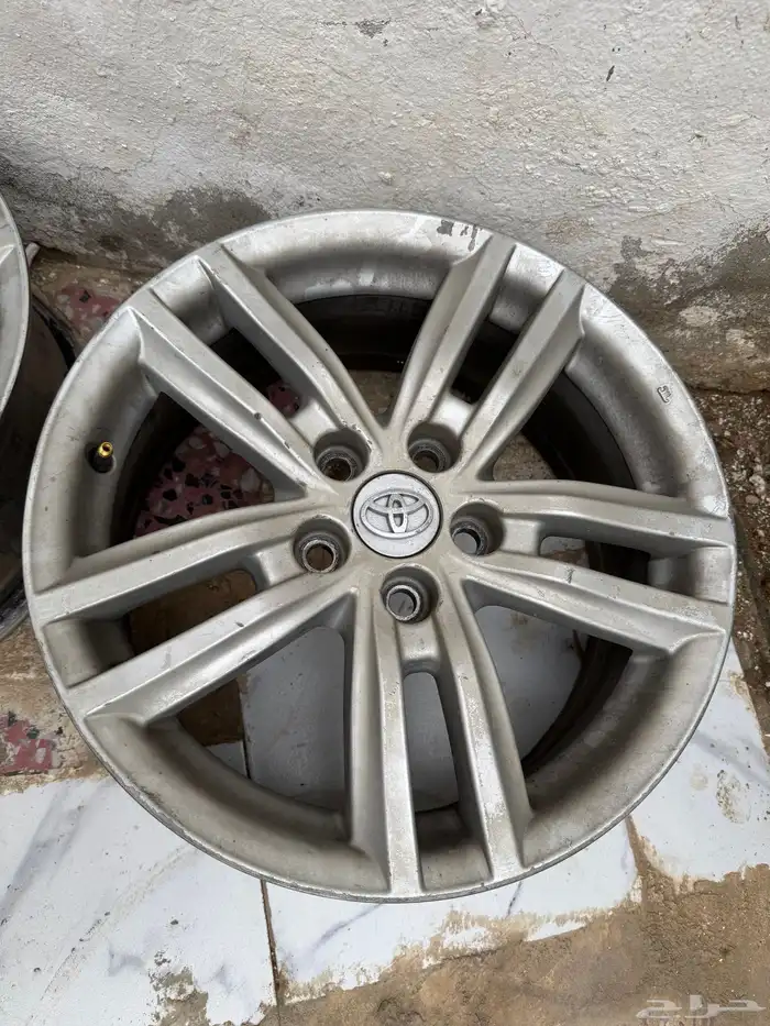 جنوط أوريون 2011 3