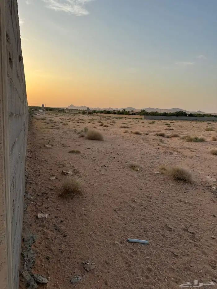 للاستثمار والايجار ارض زراعيه من المالك مباشره 1