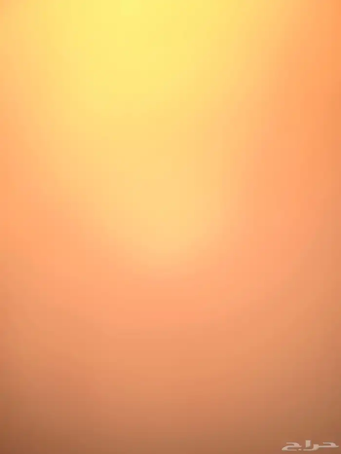 مطلوب غرفه عزاب قريبه من جامعه بيشه 0