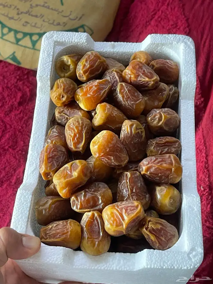 تمر سكري وحلوه ومكتومي 3