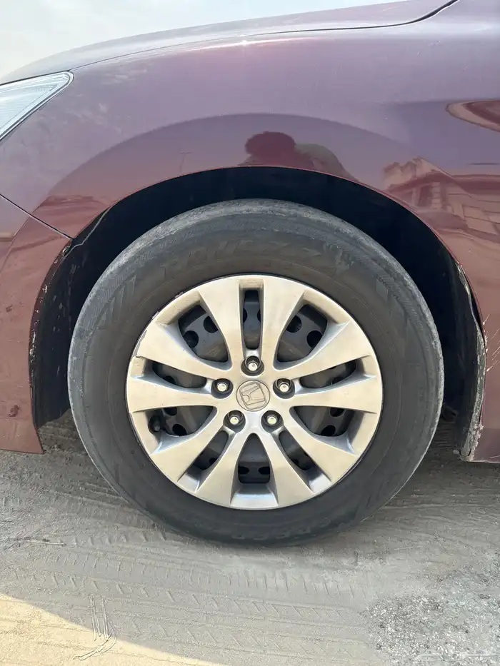 جنوط اكورد 1