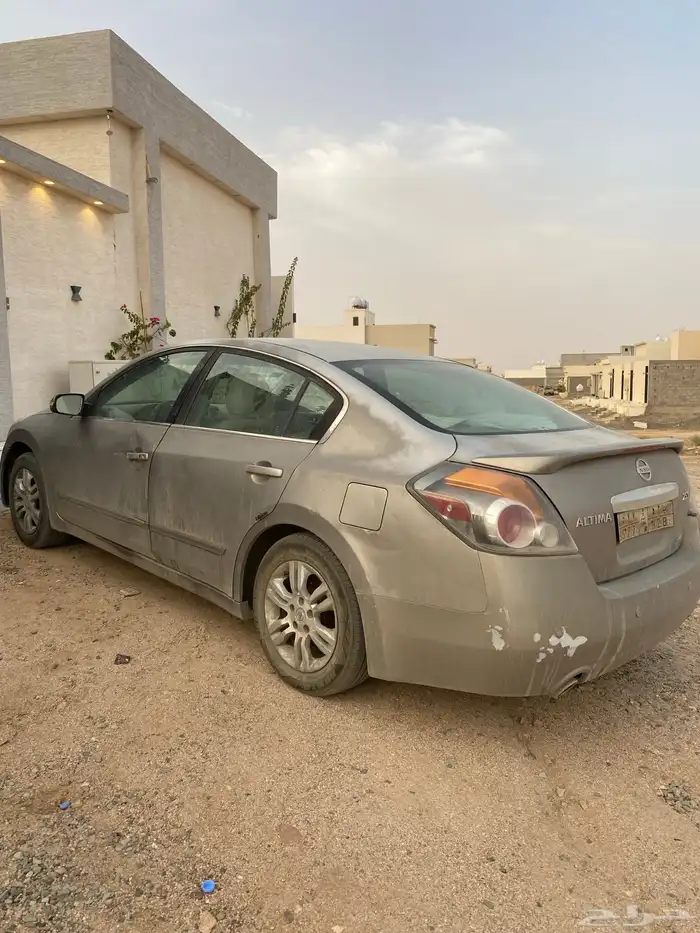 التيما 2011 5