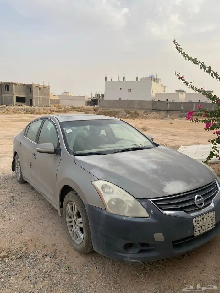 التيما 2011 3