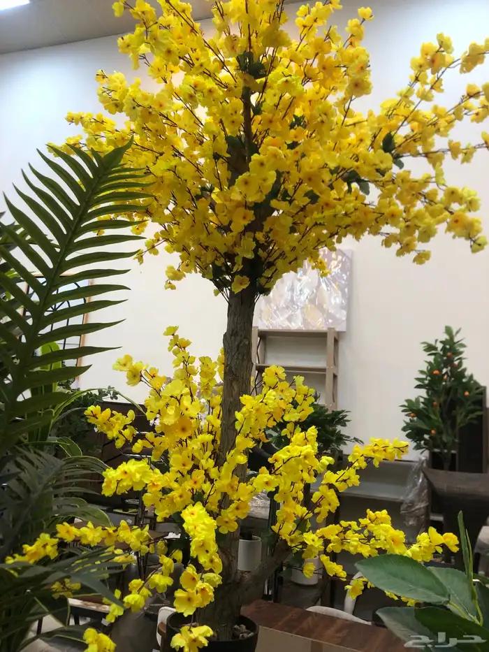 تنسيق الحدائق المنزلية 1