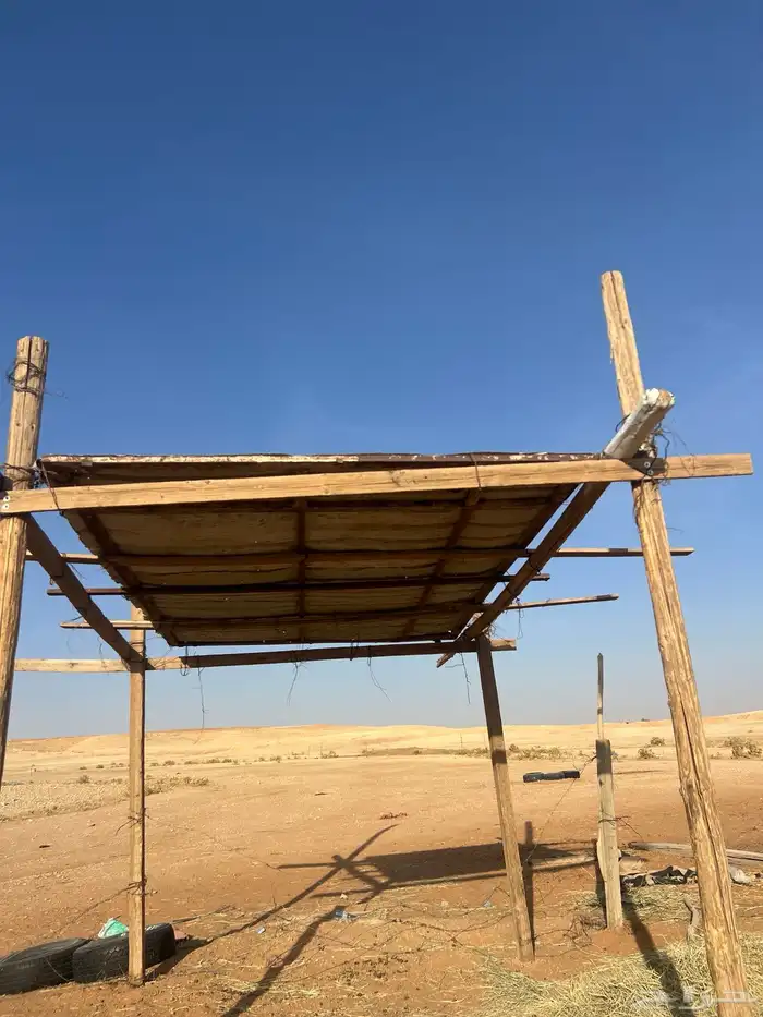 مضله بعمدها البيع سمح 2