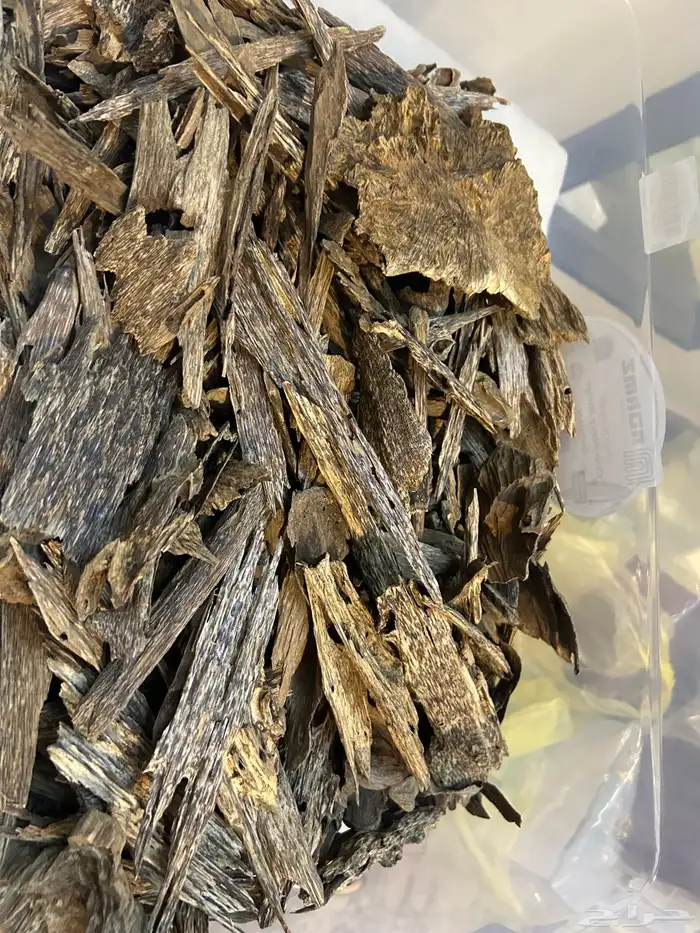 عود كلمنتان بونتاينك طبيعي 100 2