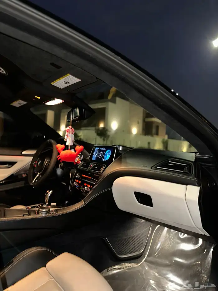بي ام m6 17