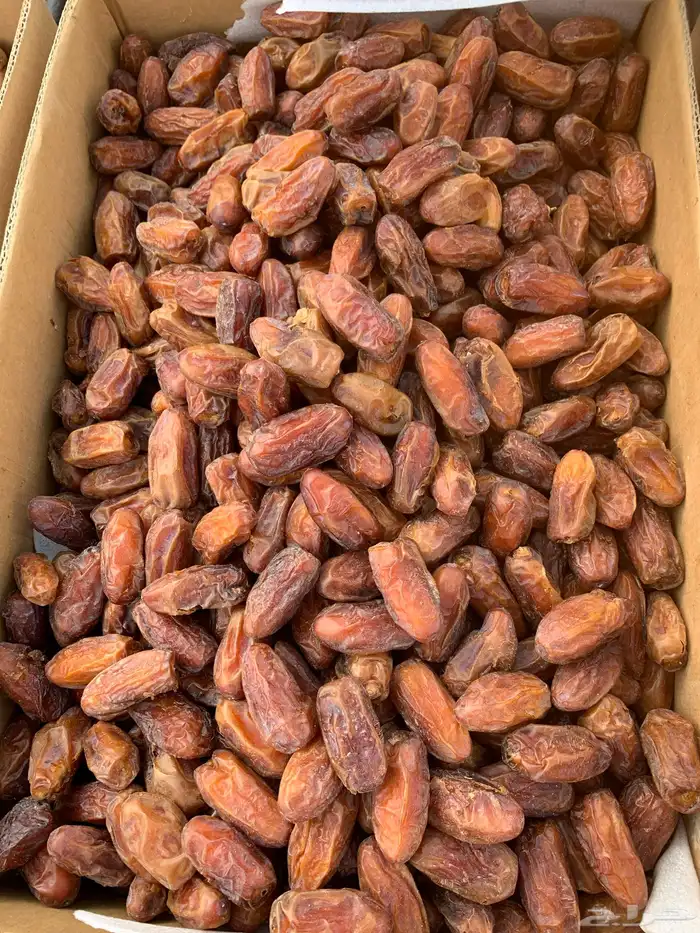 تمر صفري بيشة صافي حبة ملكي 2