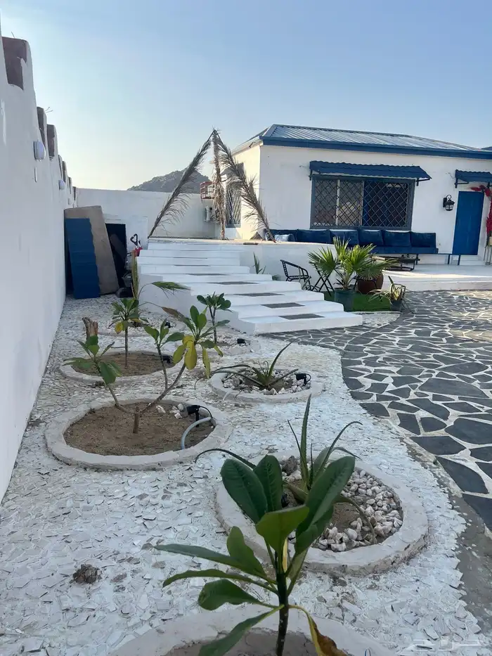 شاليه للايجار اليومي والشهري والسنوي 0