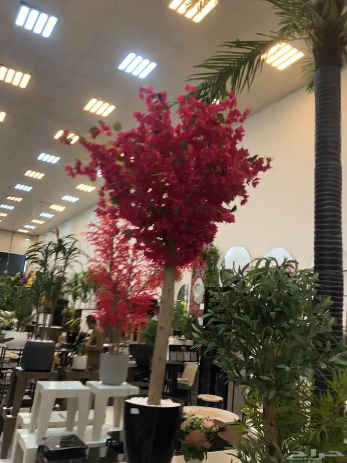 تنسيق الحدائق المنزلية 3