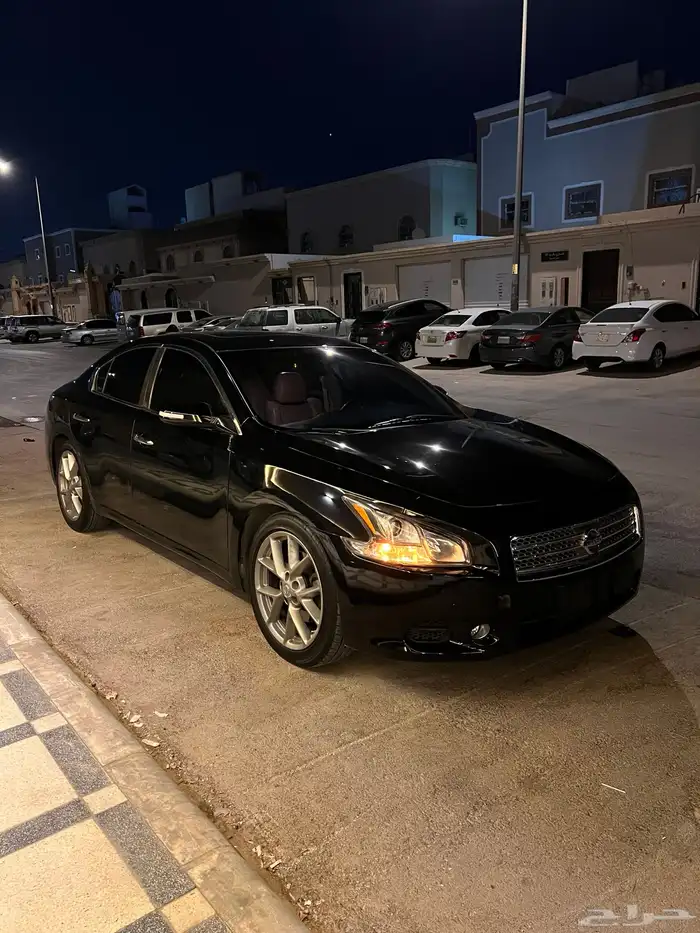 مكسيما 2011 5