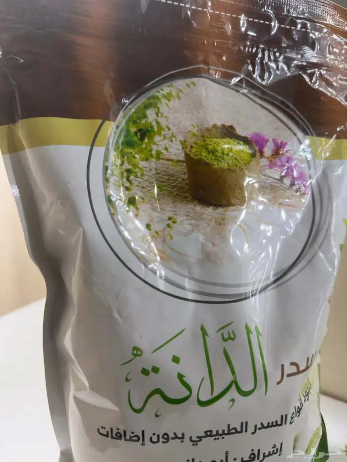 سدر ابو دانه 0