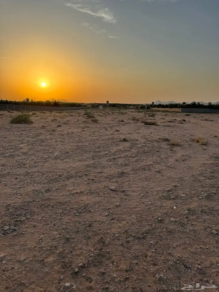للاستثمار والايجار ارض زراعيه من المالك مباشره 2