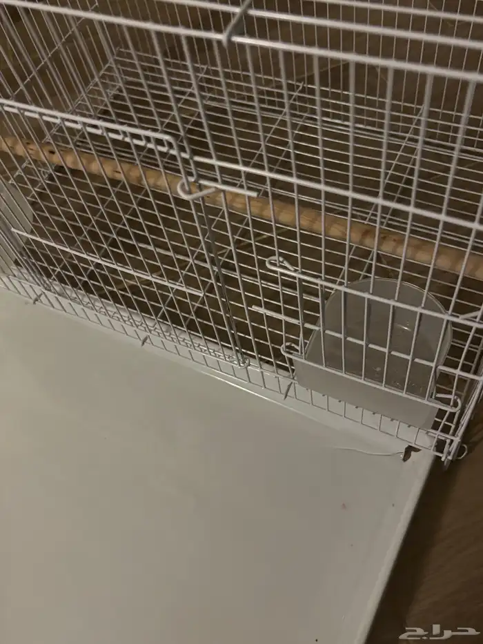 قفص 2