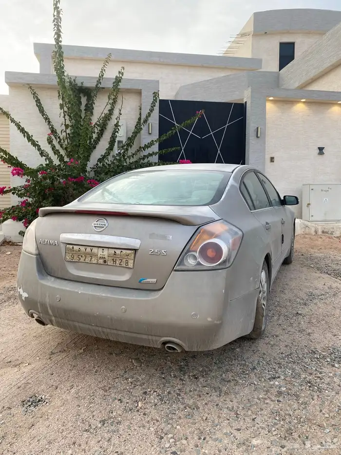 التيما 2011 0