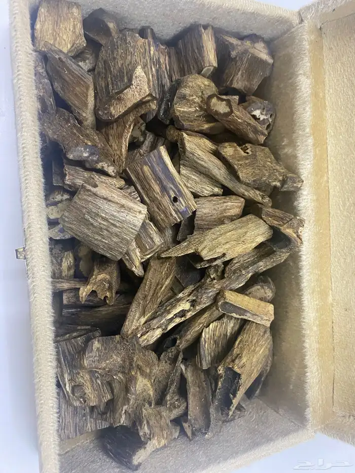 عود صيني كسر كبيره ربع كيلو دبل سوبر 0