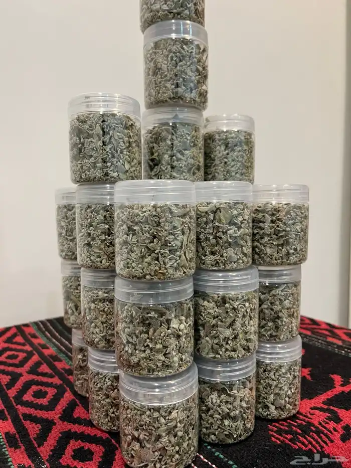 زعتر من جبال رضوى 2