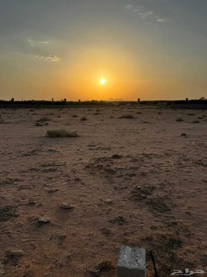 للاستثمار والايجار ارض زراعيه من المالك مباشره 4