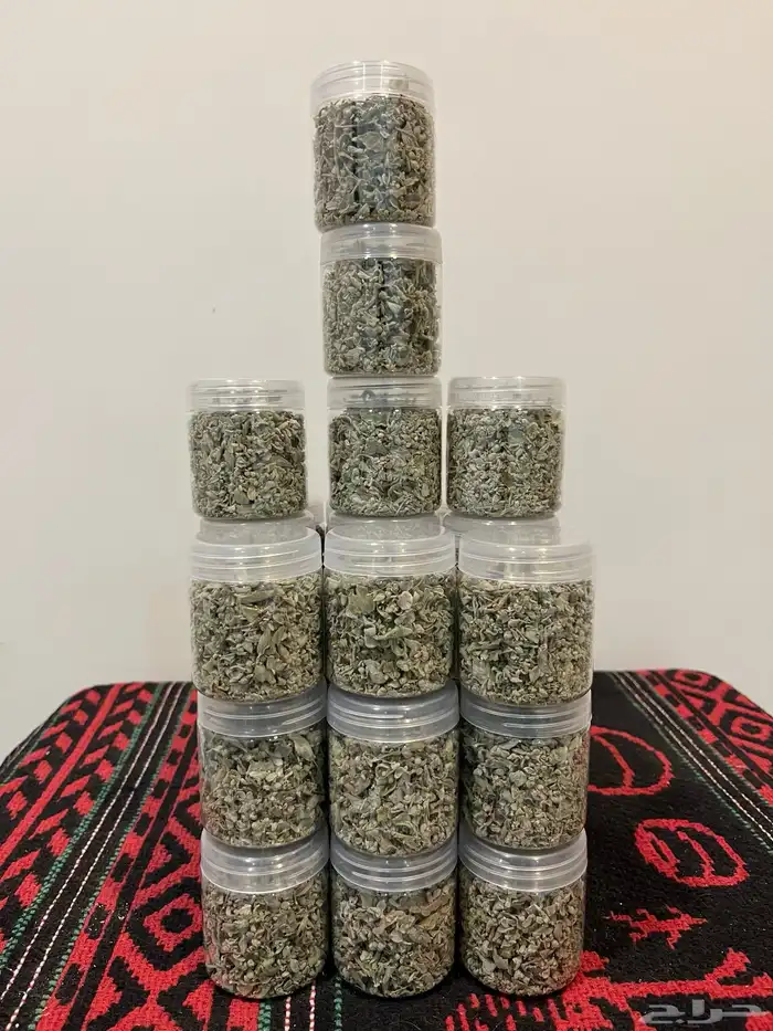 زعتر من جبال رضوى 3