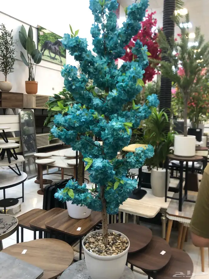 تنسيق الحدائق المنزلية 2