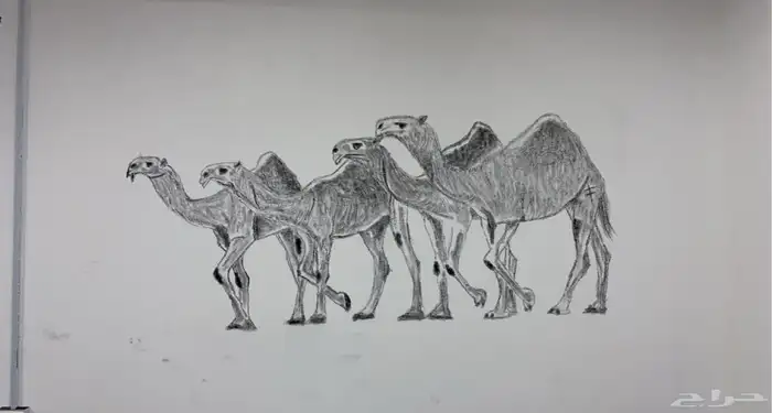 رسمات جداريه او لوحيه 1