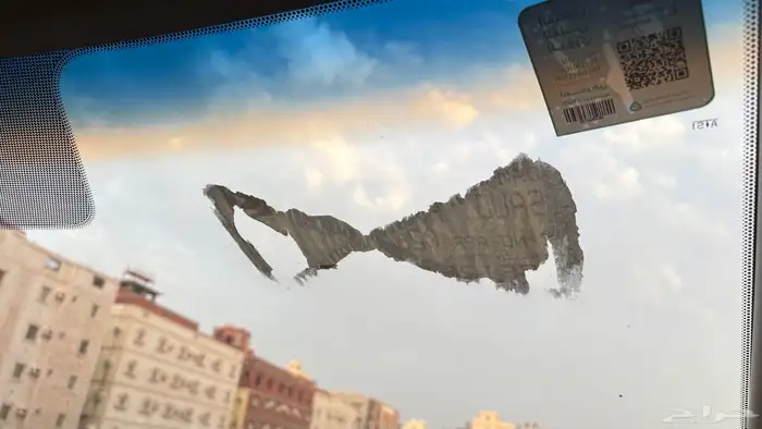 مباعه الله يبارك للراعيه 14