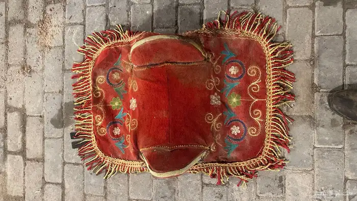 سرج سيسي مصري 1