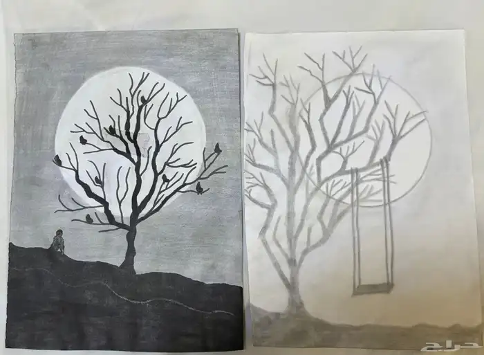 رسمات فنيه بالرصاص 3