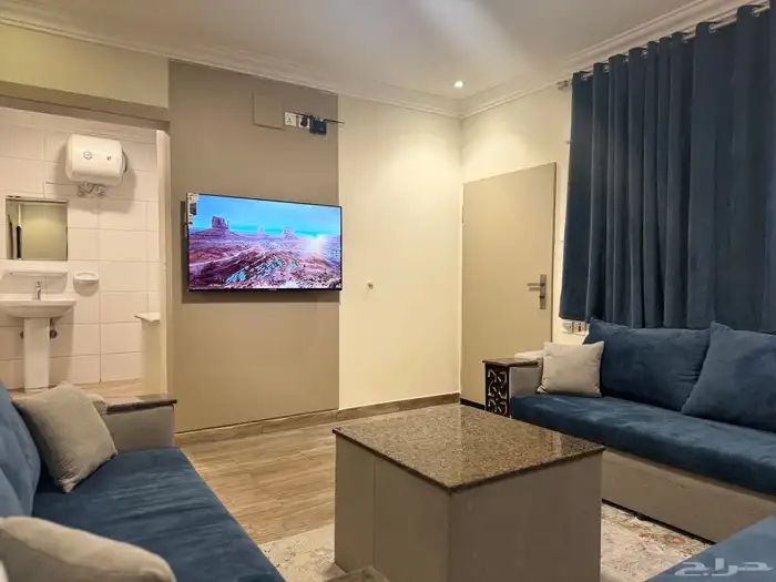 2BR Luxury 1BR with private entrance monthly rent 4
