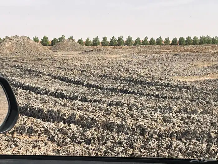 سماد 1
