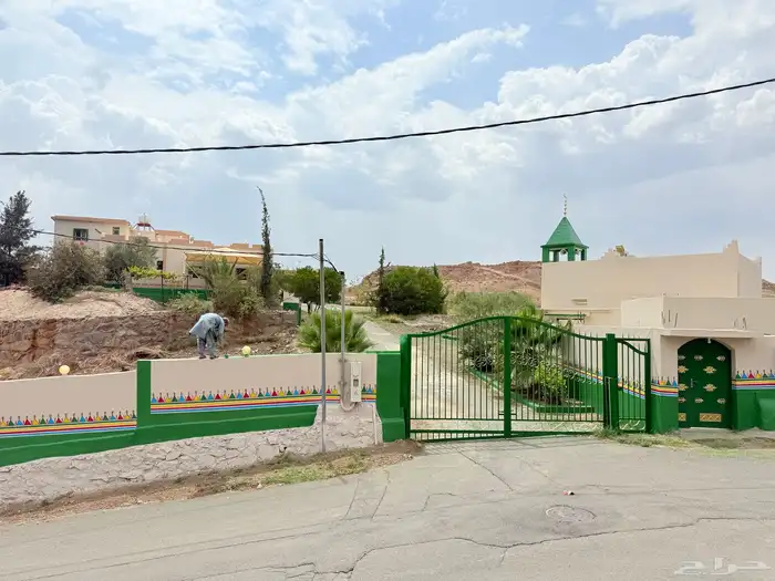 القط العسيري 10