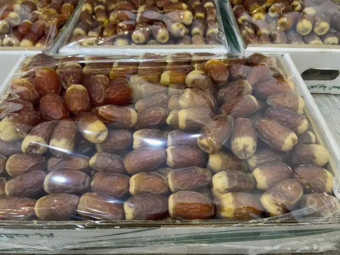تمر صقعي 0