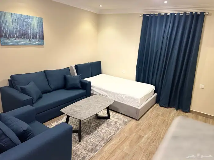 2BR Luxury 1BR with private entrance monthly rent 13